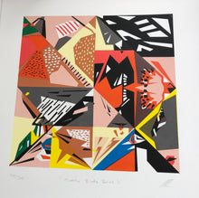 Load image into Gallery viewer, Original Screen Print - Twenty Birds - Series Two - Unframed