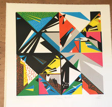 Load image into Gallery viewer, Original Screen Print - Twenty Birds - Unframed