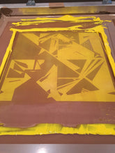 Load image into Gallery viewer, Original Screen Print - Twenty Birds - Unframed