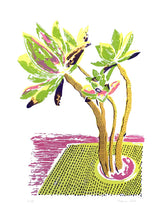 Load image into Gallery viewer, Plant Print - Large Succulent 1