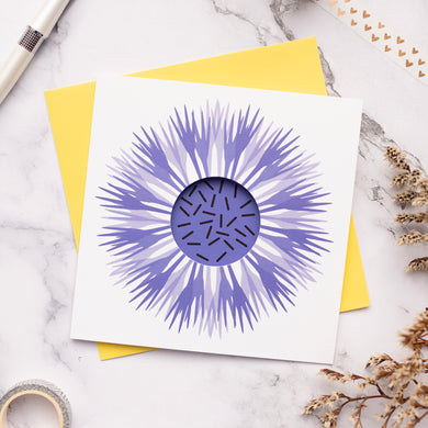 Front of greetings card with a cornflower with a hole in the front.