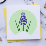 Small Blank Card - Mid Spring Flowers - Grape Hyacinth