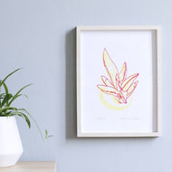 House Plant Screen Print - Succulent 2