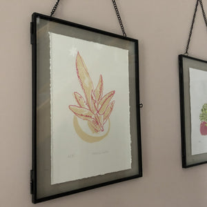 House Plant Screen Print - Succulent 2