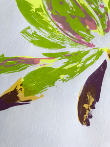 Plant Print - Large Succulent 1